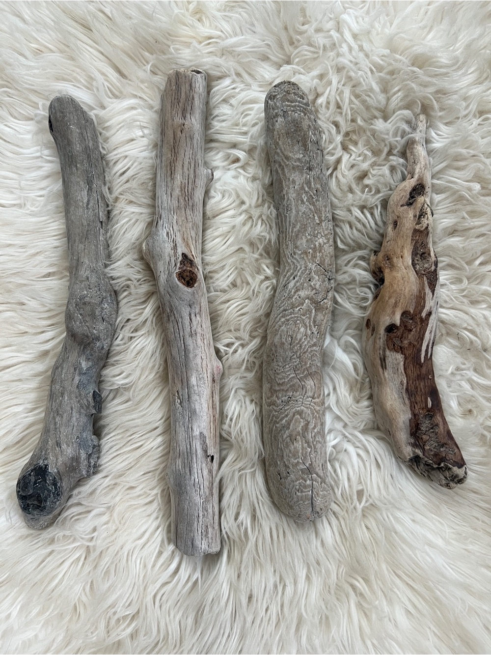 Natural Driftwood Accent Sticks - Gray and Brown PNW Ocean Authentic Lot of 4
